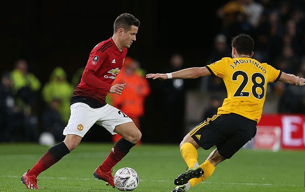 球迷的视线 球迷的视线